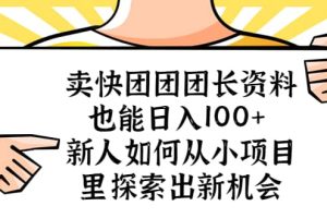 卖快团团团长资料也能日入100  新人如何从小项目里探索出新机会