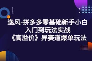 拼多多零基础新手小白入门到玩法实战《高溢价》异赛道爆单玩法实操课