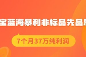 盗坤淘宝蓝海暴利非标品先品思路，7个月37万纯利润，压箱干货分享！【付费文章】