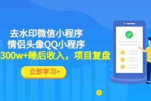 去水印微信小程序 情侣头像QQ小程序，项目复盘