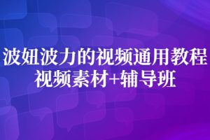 波妞波力的视频通用教程 视频素材 辅导班