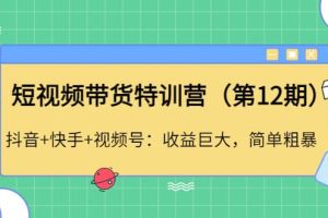 短视频带货特训营（第12期）抖音 快手 视频号