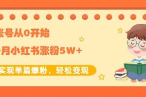 新账号从0开始3个月小红书涨粉5W 实现单篇爆粉，轻松变现（干货）