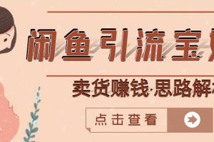 闲鱼引流宝妈粉 卖货赚钱一个月收益30000 （实操视频教程）