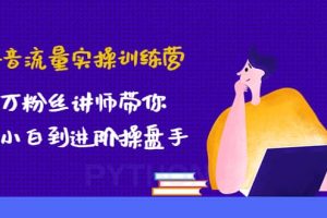 抖音流量实操训练营：百万粉丝讲师带你从小白到进阶操盘手