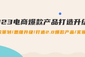 2023电商爆款产品打造升级课：爆款策划/思维升级/打造2.0爆款产品/【推荐】