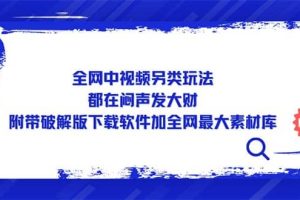 全网中视频另类玩法，都在闷声发大财，附带下载软件加全网最大素材库