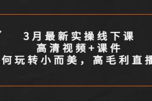 3月最新实操线下课高清视频 课件，如何玩转小而美，高毛利直播间