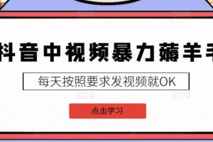 2022抖音中视频暴力薅羊毛白嫖项目：新号每天20块，老号几天几百块，可多号