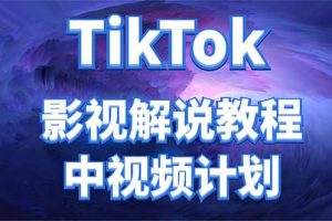 外面收费2980元的TikTok影视解说、中视频教程