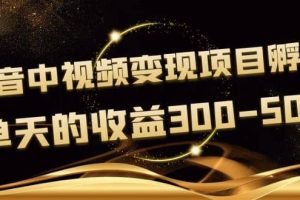 黄岛主《抖音中视频变现项目孵化》单天的收益300-500 操作简单粗暴