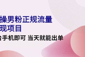 2022实操男粉正规流量变现项目，一台手机即可 当天就能出单【视频课程】