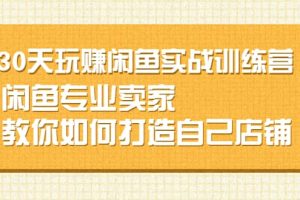 30天玩赚闲鱼实战训练营，闲鱼专业卖家教你如何打造自己店铺