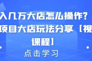 月入几万大店怎么操作？虚拟项目大店玩法分享【视频课程】