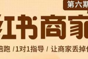 贾真-小红书商家营第6期商家版，21天带货陪跑课，让商家丢掉付流量