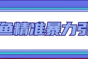 闲鱼精准暴力引流全系列课程，每天被动精准引流200 客源技术（8节视频课）