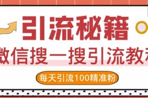 微信搜一搜引流教程，每天引流100精准粉