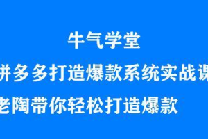 牛气学堂拼多多打造爆款系统实战课，老陶带你轻松打造爆款