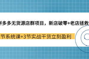 拼多多无货源店群项目，新店破零 老店拯救 12节系统课 3节实战干货立刻盈利