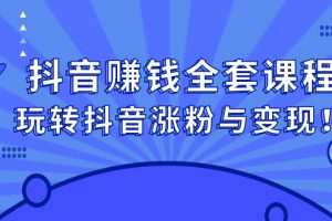 抖音赚钱全套课程，玩转抖音涨粉与变现