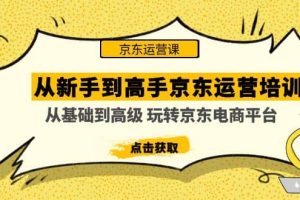 从新手到高手京东运营培训：从基础到高级 玩转京东电商平台(无水印)