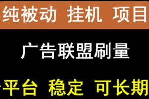 【稳定挂机】oneptp出海广告联盟挂机项目，每天躺赚几块钱，多台批量多赚些