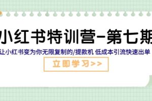 小红书特训营-第七期 让小红书变为你无限复制的/提款机 低成本引流快速出单