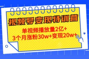 20天视频号变现特训营：单视频播放量2亿