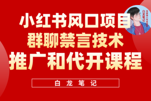 小红书风口项目日入300 ，小红书群聊禁言技术代开项目，适合新手操作