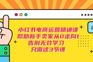 小红书电商·运营精通课，帮助新手卖家从0走向1 告别无效学习（7节视频课）