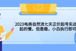 2023电商自然流七天正价起号实战课：起的慢，但是稳，小白执行即可