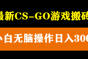 最新csgo游戏搬砖游戏，无需挂机小白无脑也能日入300