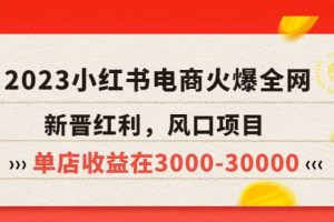 2023小红书电商火爆全网，新晋红利，风口项目，单店收益在3000-30000