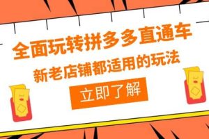 全面玩转拼多多直通车，新老店铺都适用的玩法（12节精华课）