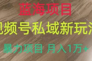 蓝海项目，视频号私域新玩法，暴力项目月入1万 【揭秘】