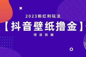 2023新红利玩法：抖音壁纸撸金项目