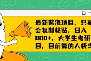 最新蓝海项目，只要会复制粘贴，日入800 ，大学生考研项目，目前做的人极少