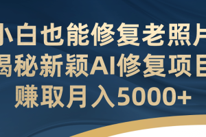 小白也能修复老照片！揭秘新颖AI修复项目，赚取月入5000