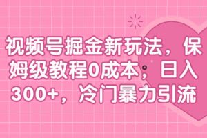 视频号掘金新玩法，保姆级教程0成本，日入300 ，冷门暴力引流