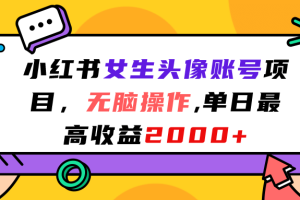 小红书女生头像账号项目，无脑操作，单日最高收益2000