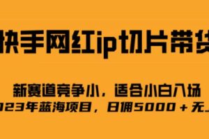 快手网红ip切片新赛道，竞争小事，适合小白 2023蓝海项目