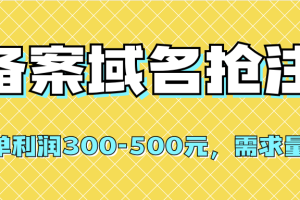 【全网首发】备案域名抢注，一单利润300-500元，需求量大