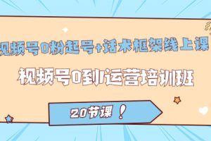 视频号·0粉起号 话术框架线上课：视频号0到1运营培训班（20节课）