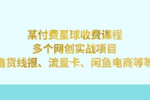 某付费星球课程：多个网创实战项目，撸货线报、流量卡、闲鱼电商等等