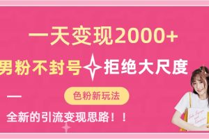 一天收款2000元，男粉不封号拒绝大尺度-色粉全新的变现方法