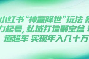 小红书“神童降世”玩法 暴力起号,私域打造聚宝盆 弯道超车 实现年入几十万