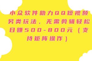 小众软件助力QQ短视频另类玩法，无需剪辑轻松日赚500-800元（支持矩阵...